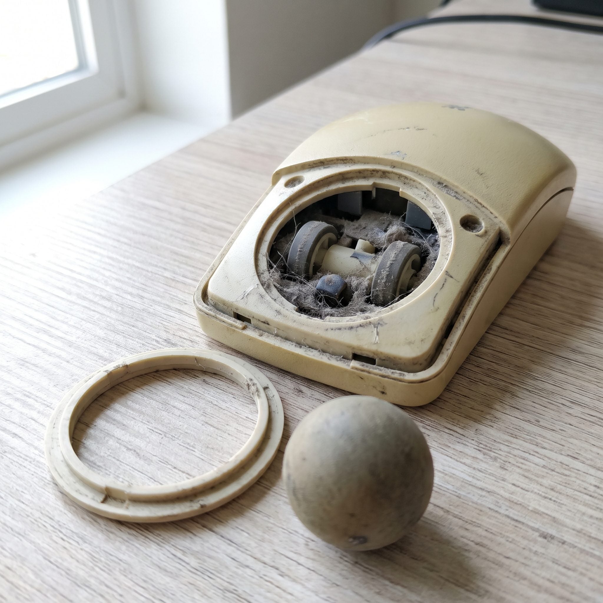 The Ball Mouse That Needed Cleaning Every Few Weeks