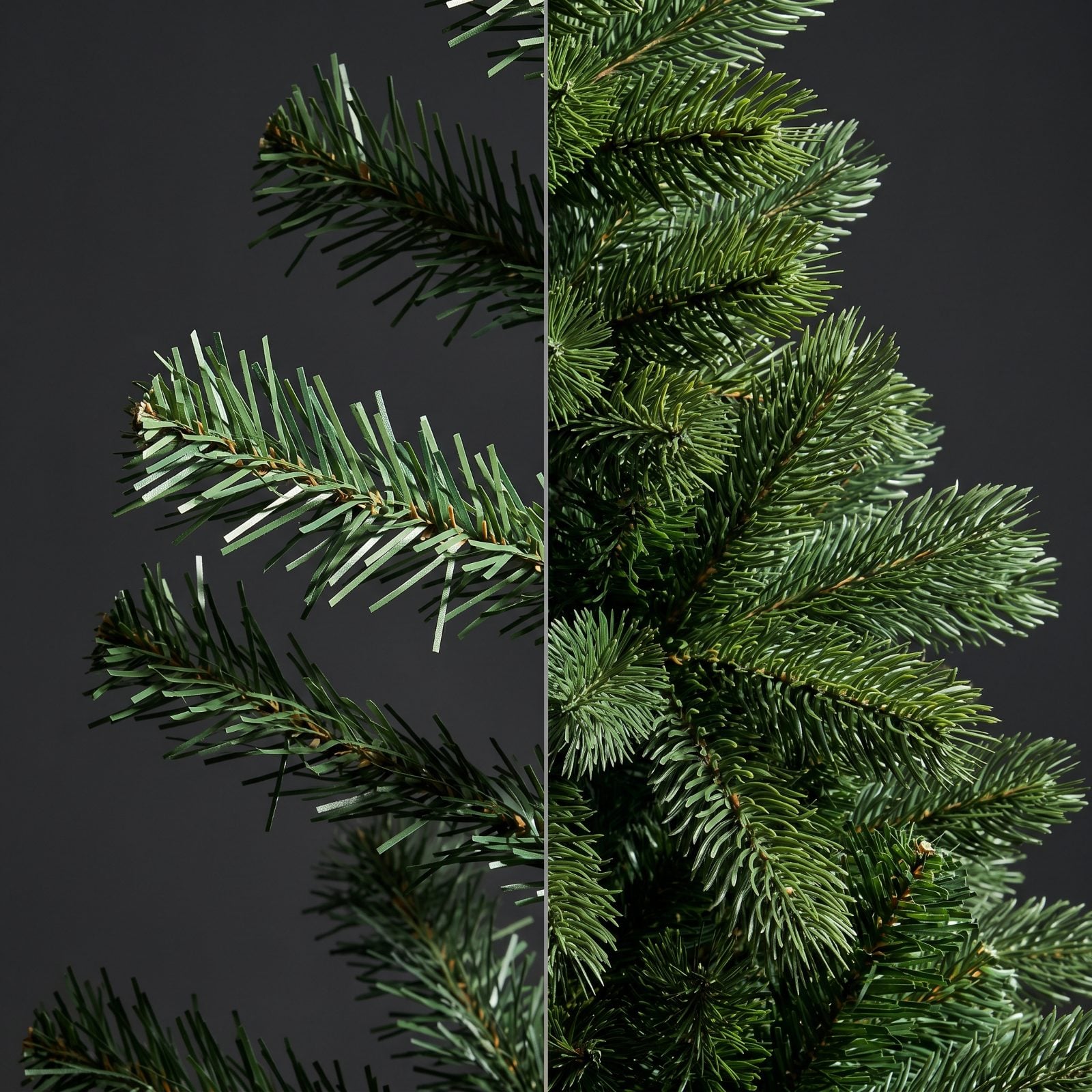 Buying a Tree With Too Few Branch Tips