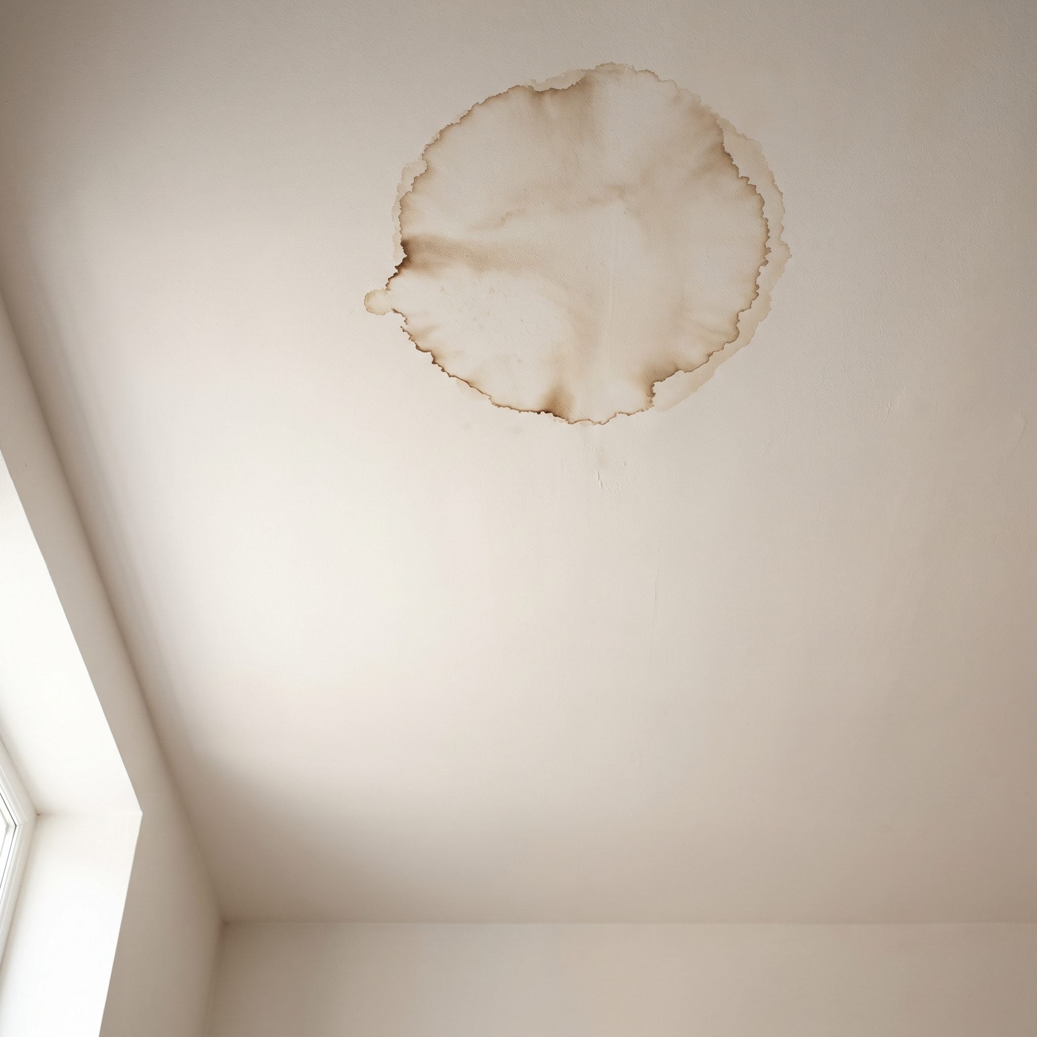 The Ceiling Stain That Screams Louder Than It Should