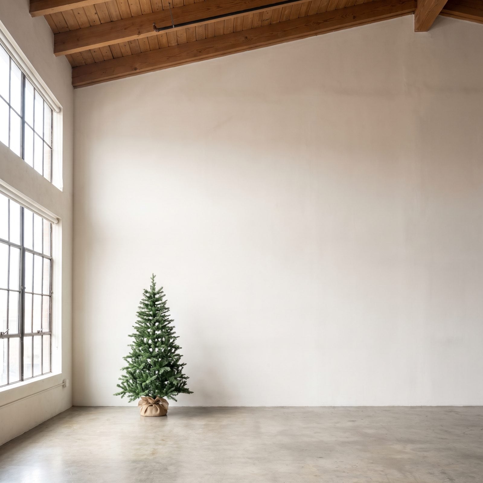 Choosing a Tree That Stops Far Below the Ceiling