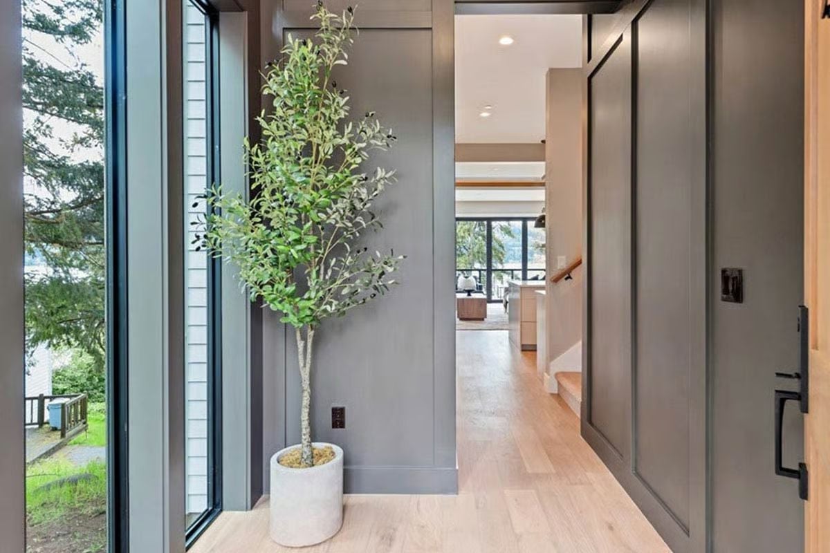 Gray Walls That Actually Work, Thanks to Light Wood and a Tall Olive Tree