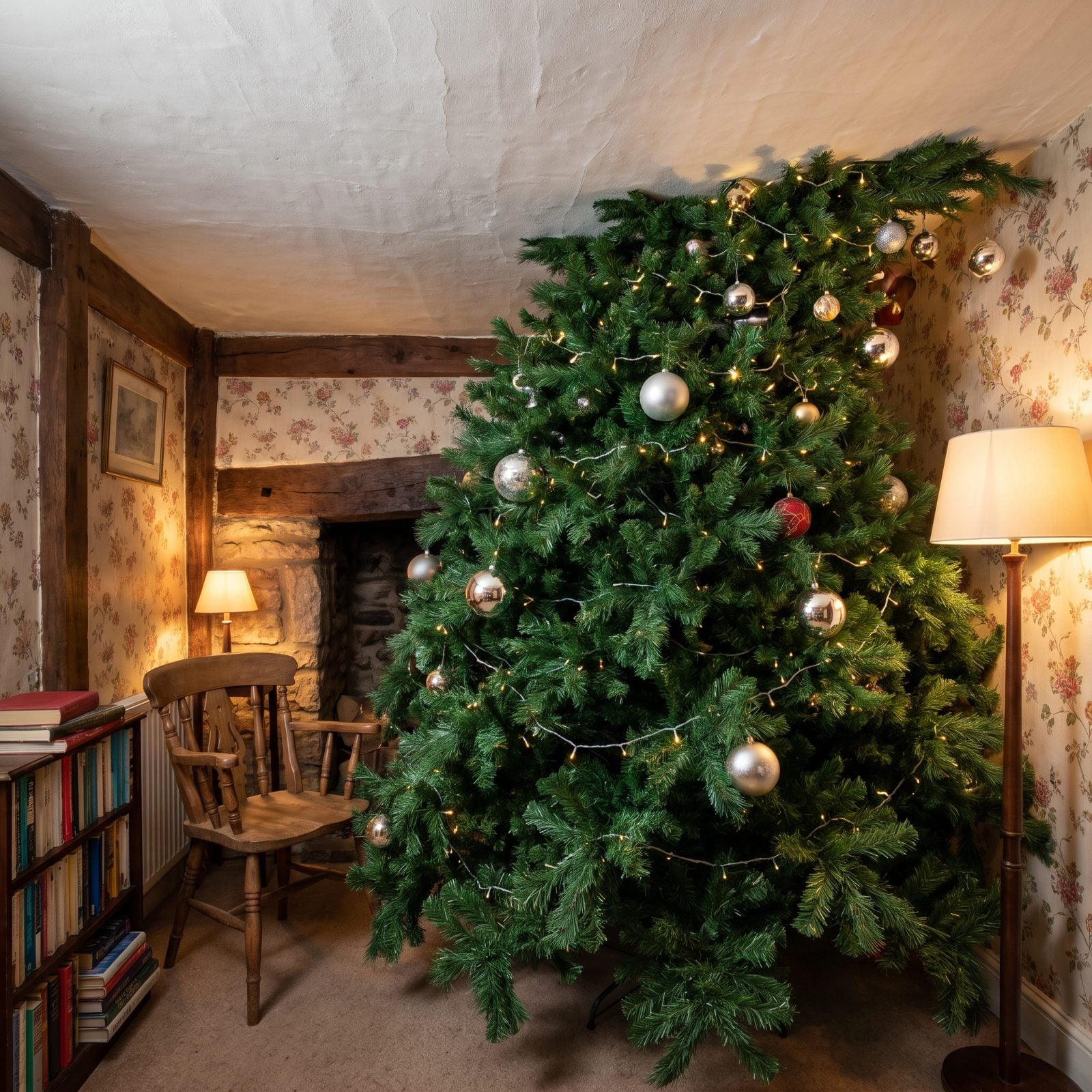 Forcing an Oversized Tree Into a Tiny Room