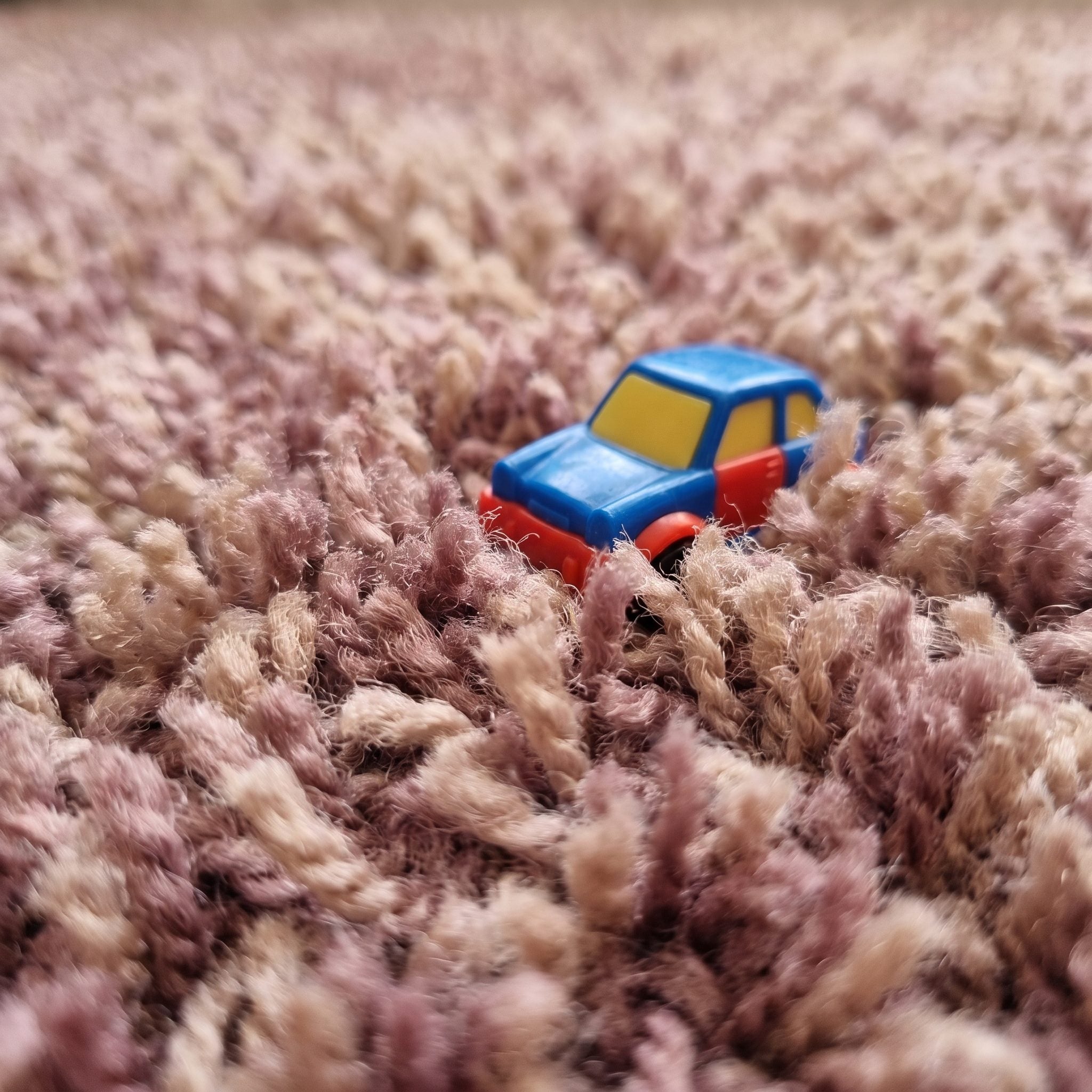 The Plush Wall-to-Wall Carpet Under Everything, Roughly $12 a Yard Installed
