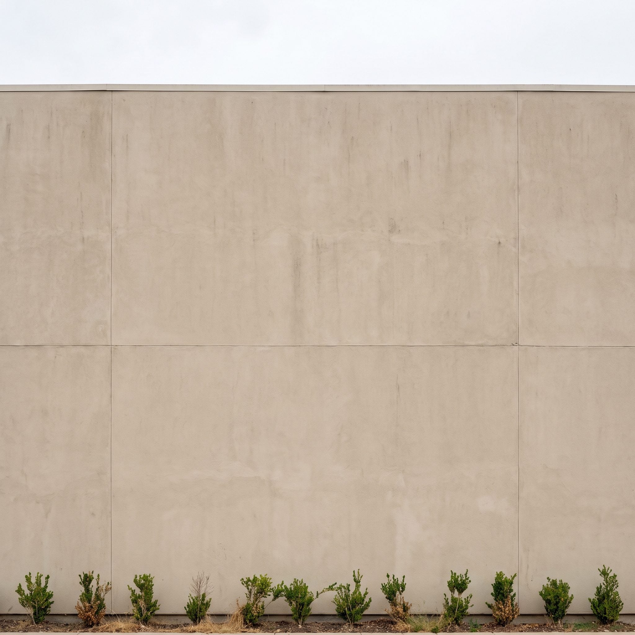 Tiny Foundation Plants Lost Against a Giant Facade
