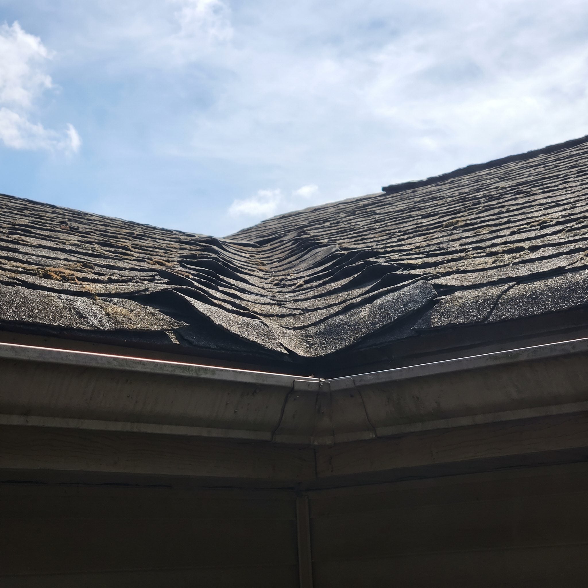 A Tired Roof Is the First Thing Their Eyes Climb To