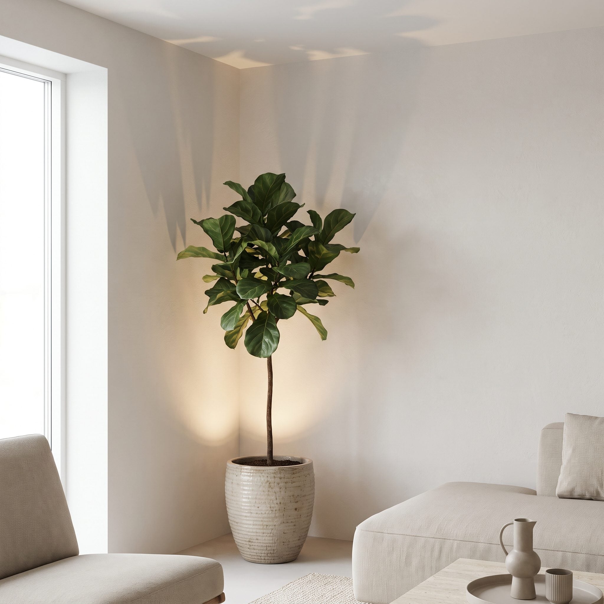 Living room corner with a concealed uplight illuminating a tall plant