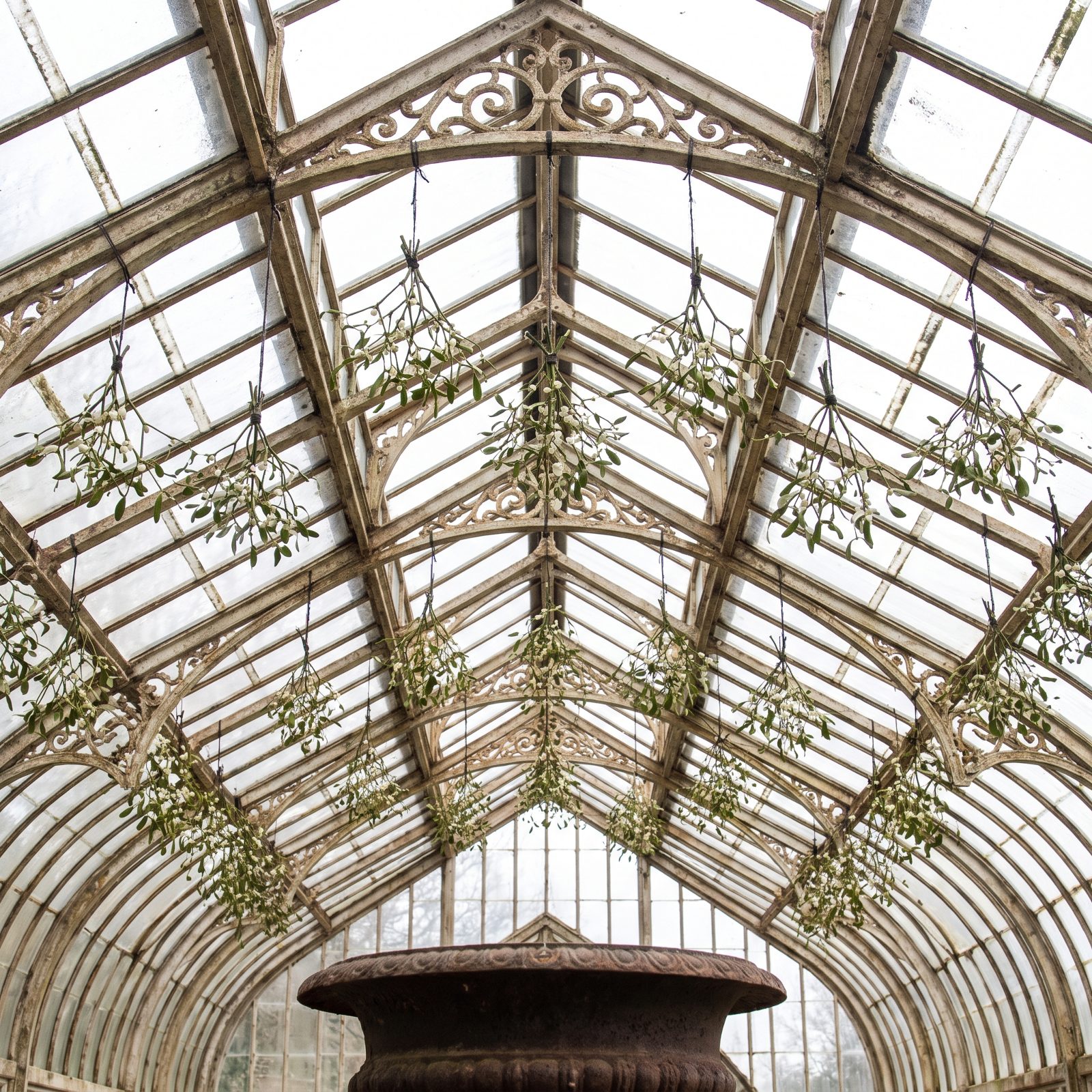 A Conservatory With Mistletoe Suspended From Glass Rafters