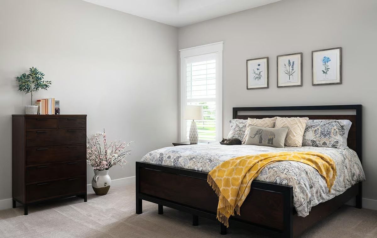 Cat on the Bed, Yellow Throw, and a Dresser That Knows What It Is