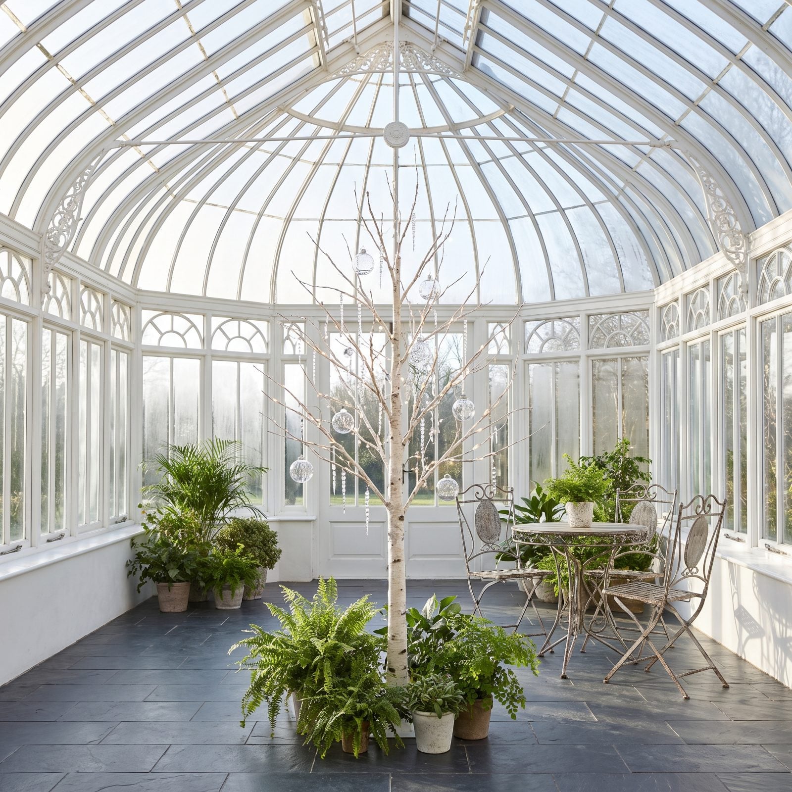 A Delicate Birch Tree Suited to a Glass Conservatory