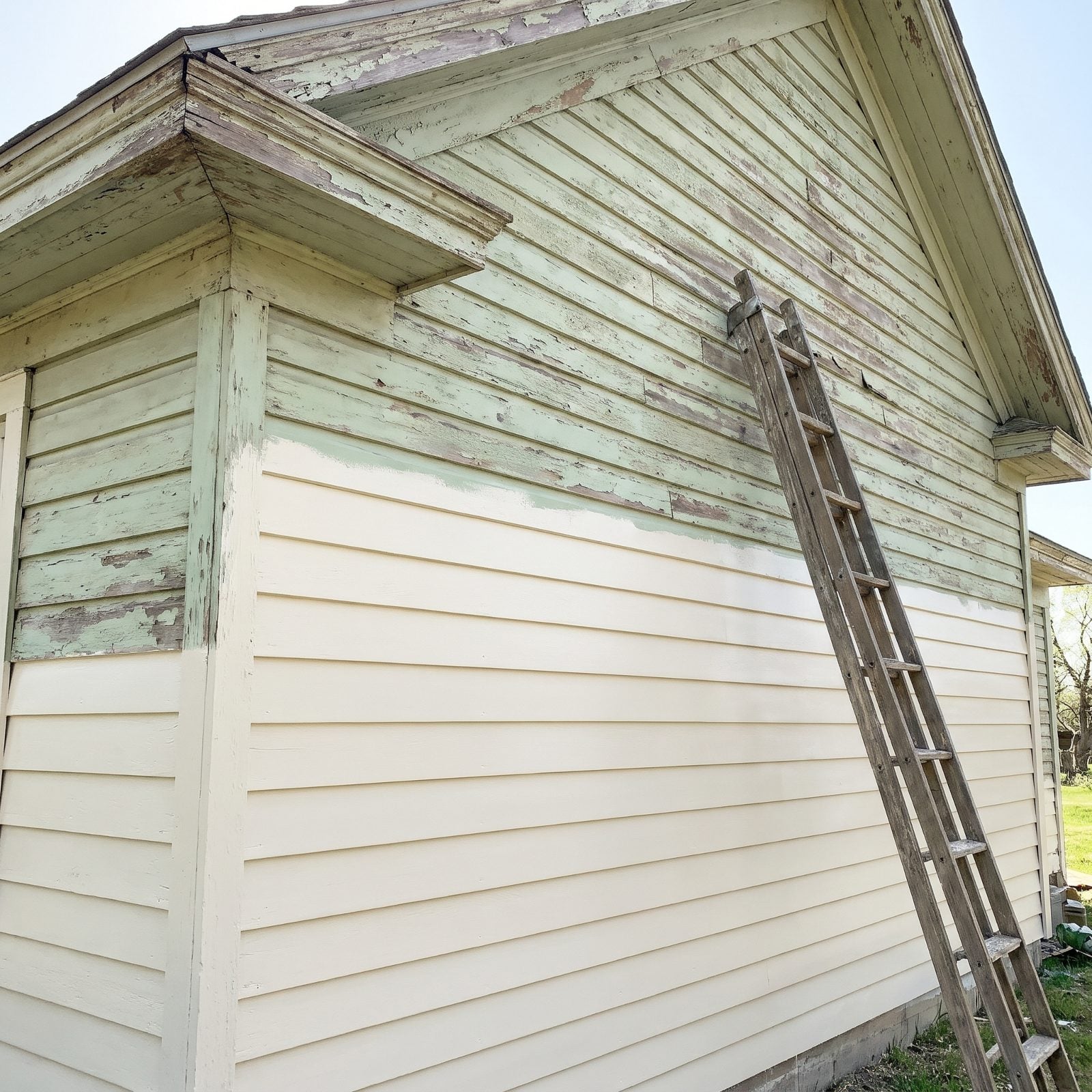 Fresh Exterior Paint That Stops at Eye Level