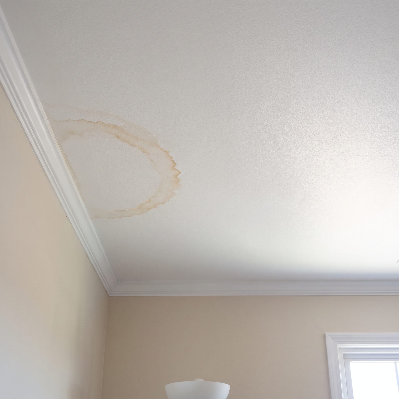 Fresh Paint Over Water-Stained Ceilings