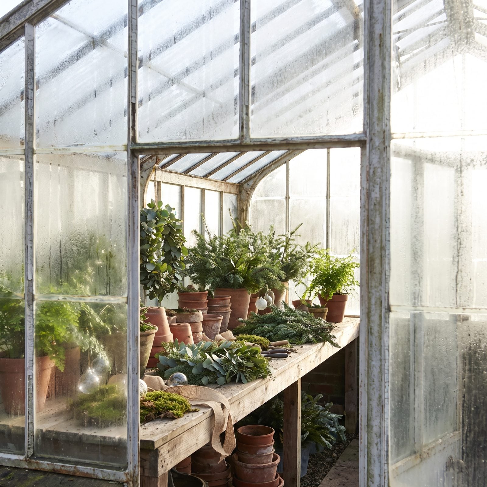 A Greenhouse Worktable Staged for a Botanical Christmas