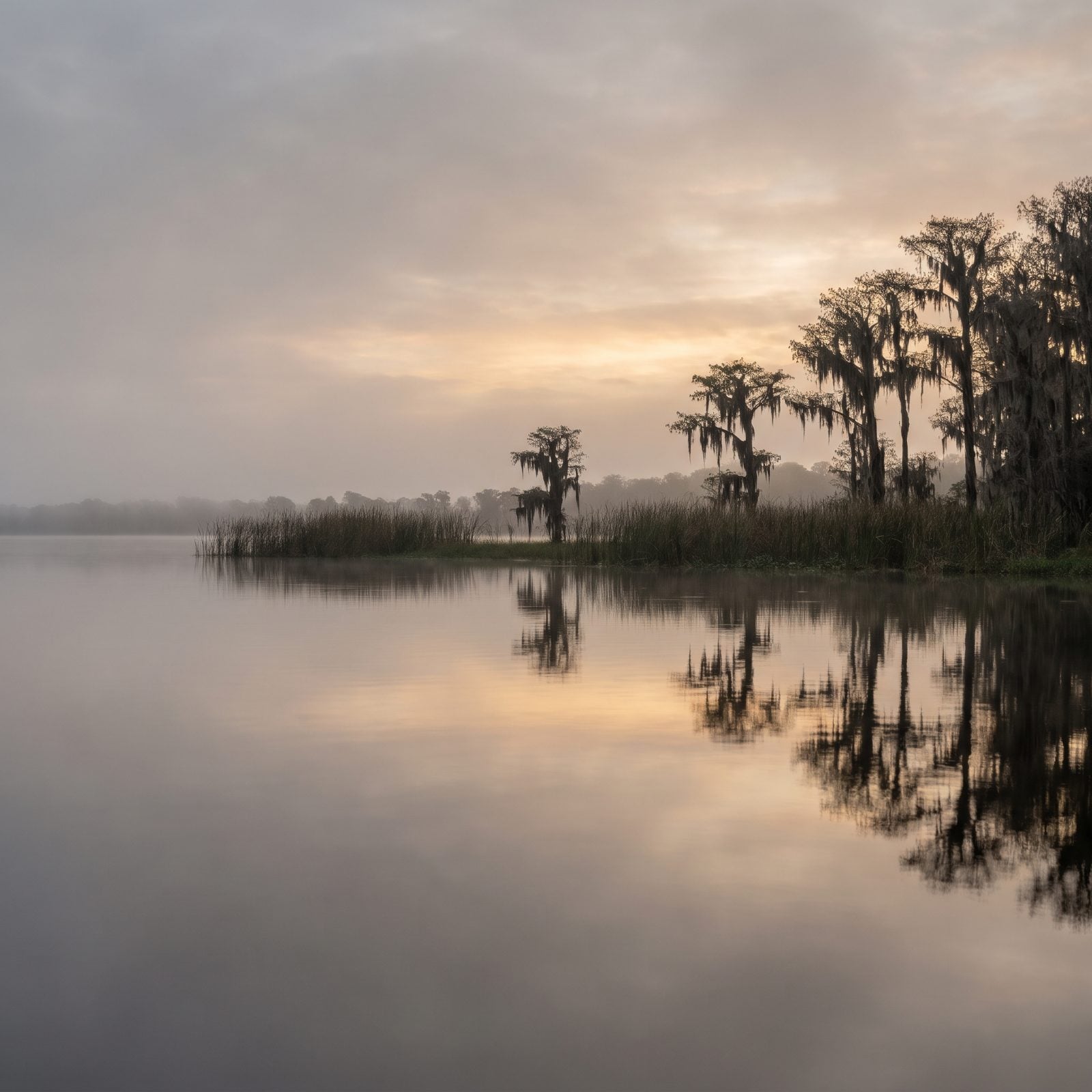 Lake Waccamaw: The Oldest Natural Lake in the State