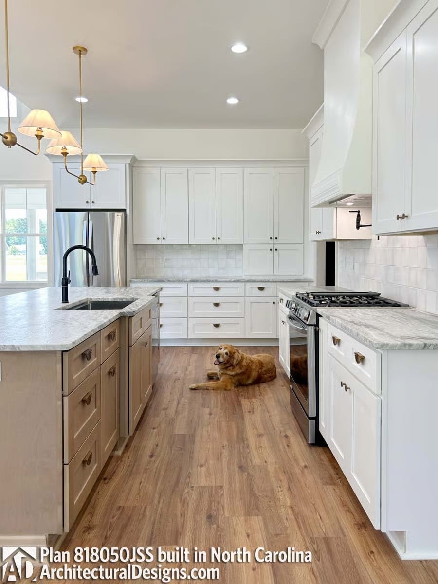 Golden Retriever Approved: Kitchen Layout That Actually Makes Sense