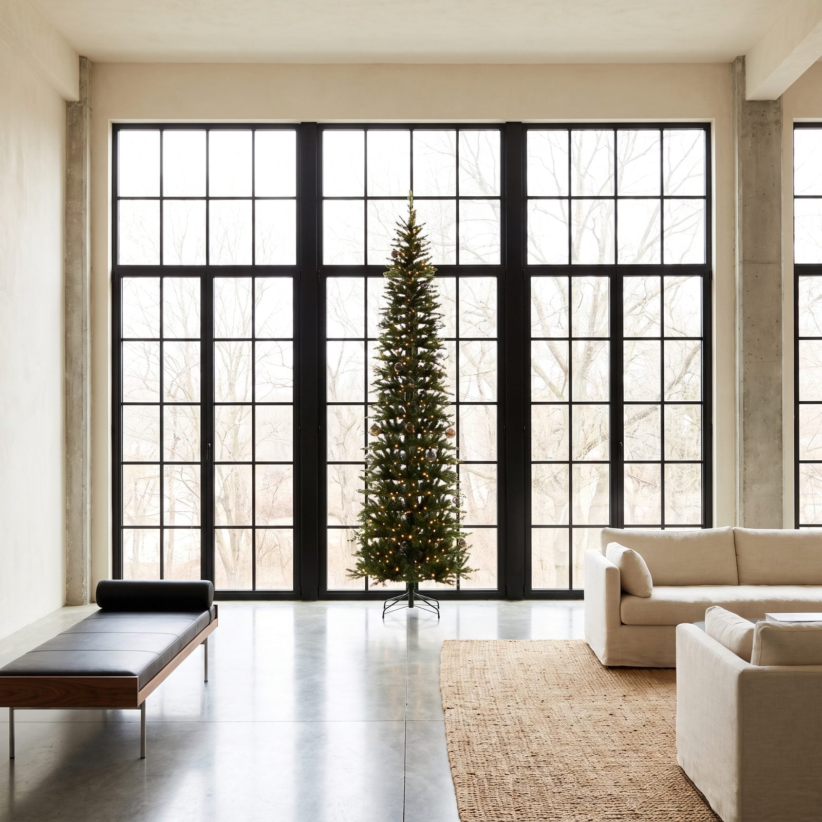 A Slim Tree Aligned With a Row of Steel-Framed Windows