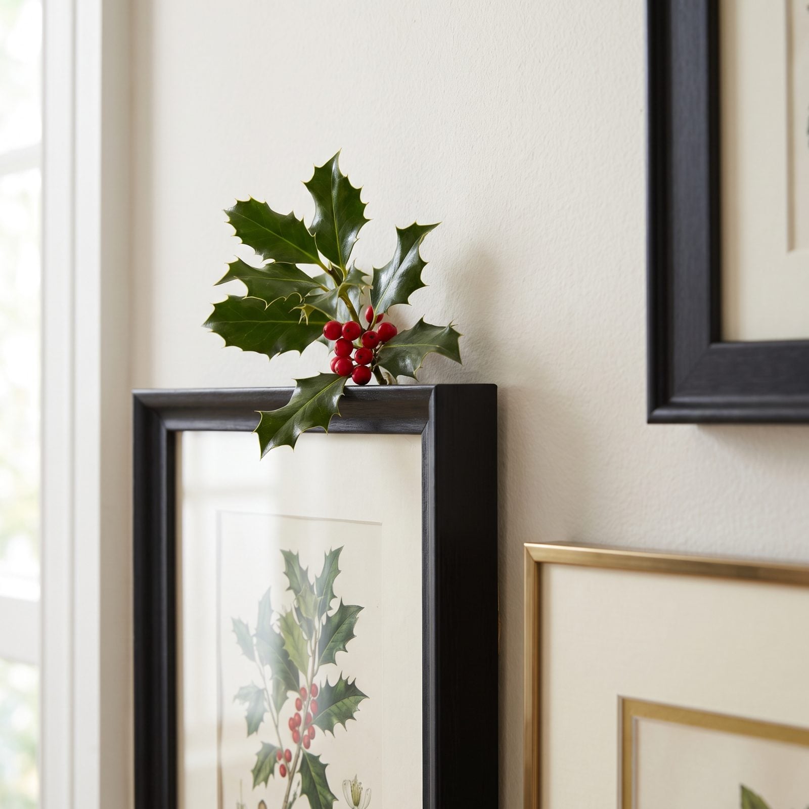 A Sprig of Holly Slipped Behind a Picture Frame