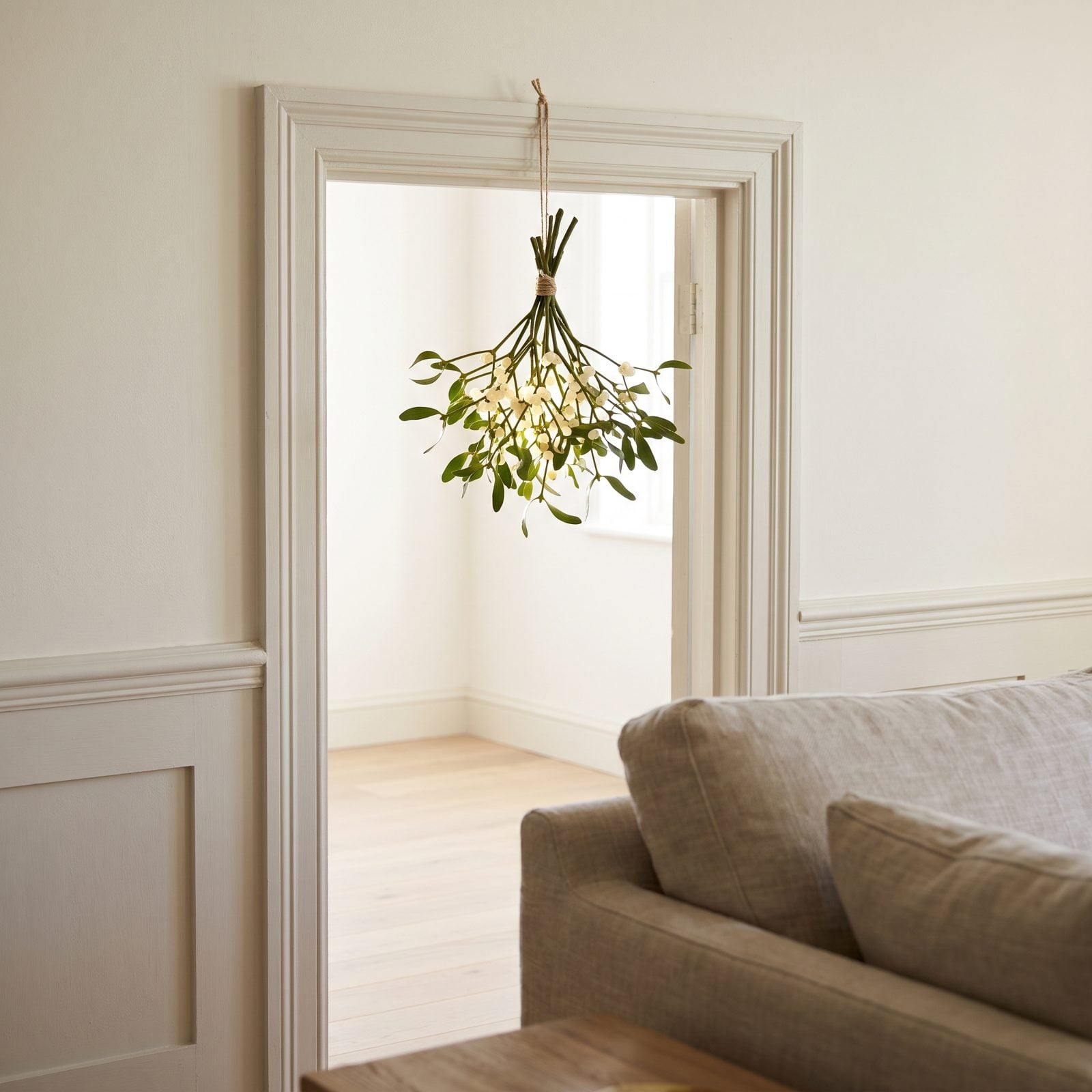 A Sprig of Mistletoe in a Doorway Nobody Expects