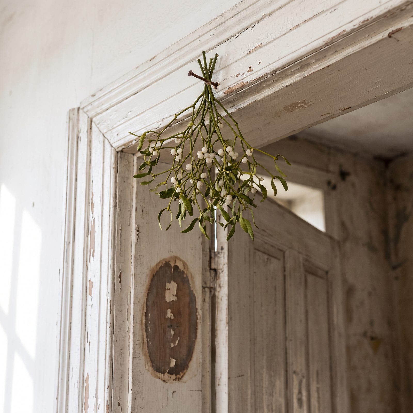 A Sprig of Mistletoe No One Was Allowed to Move