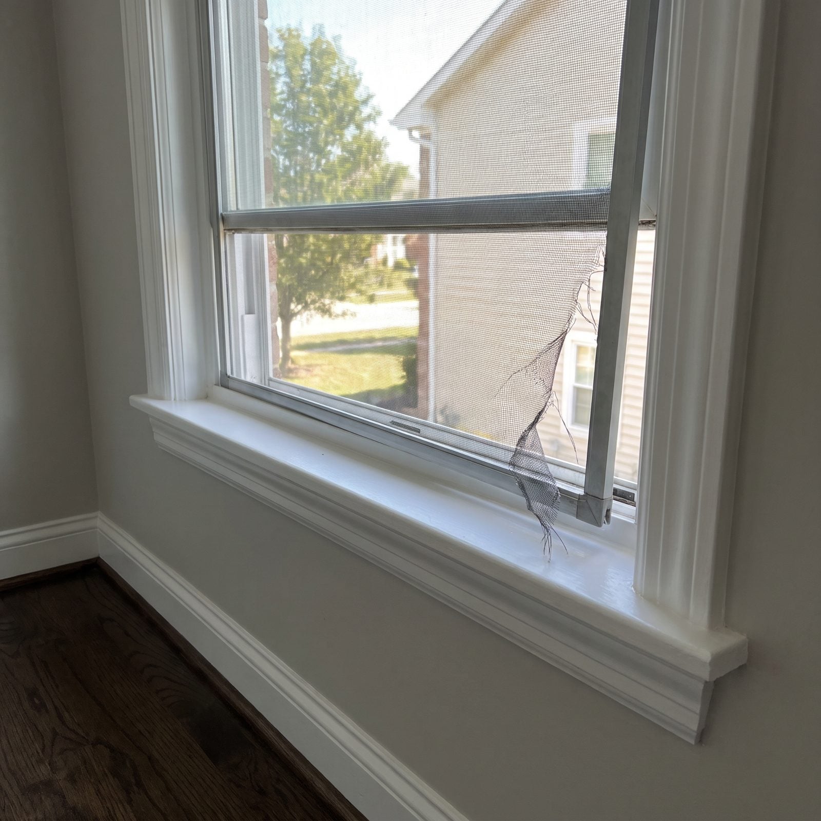 Torn or Missing Window Screens Behind New Trim