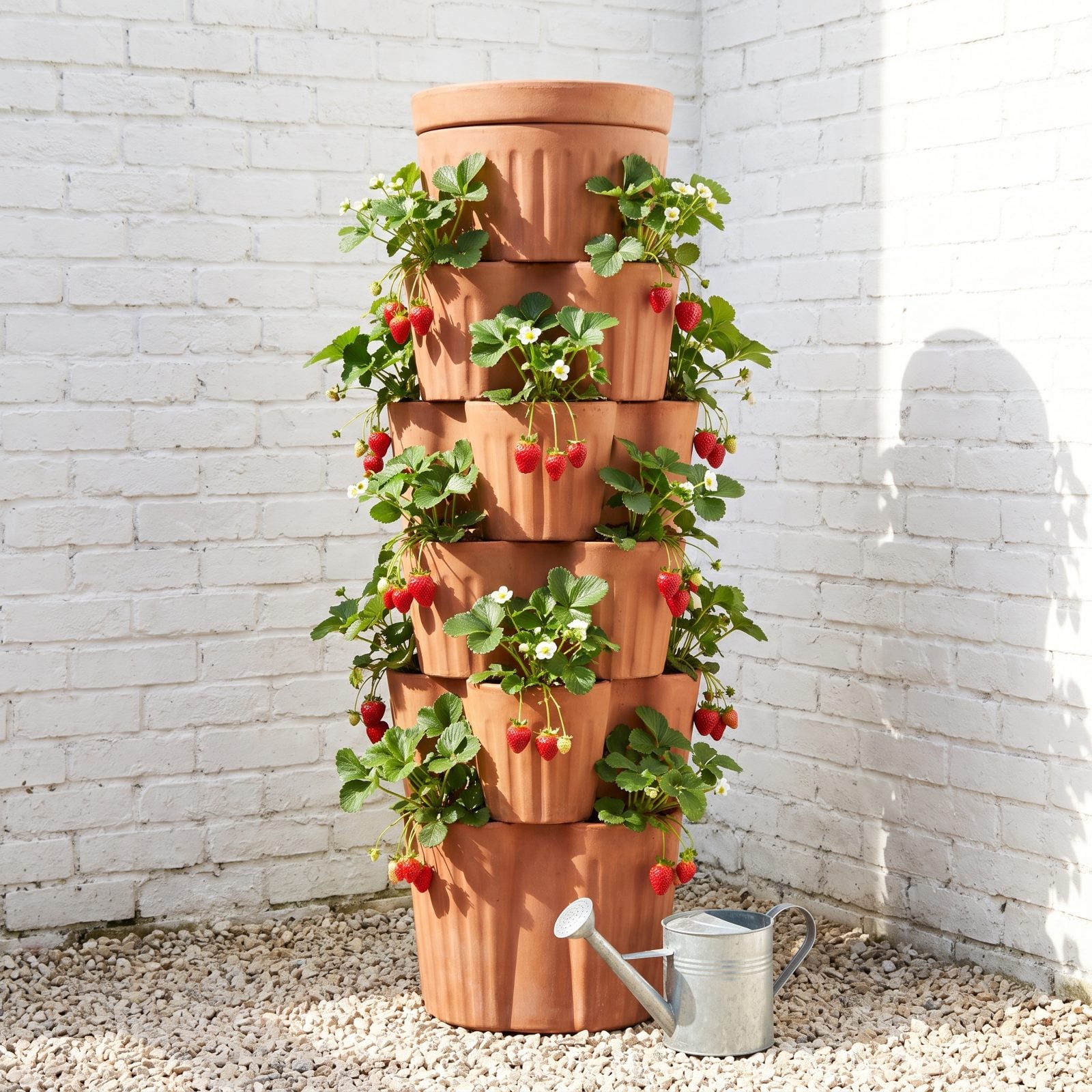 Vertical Strawberry Growing Tower