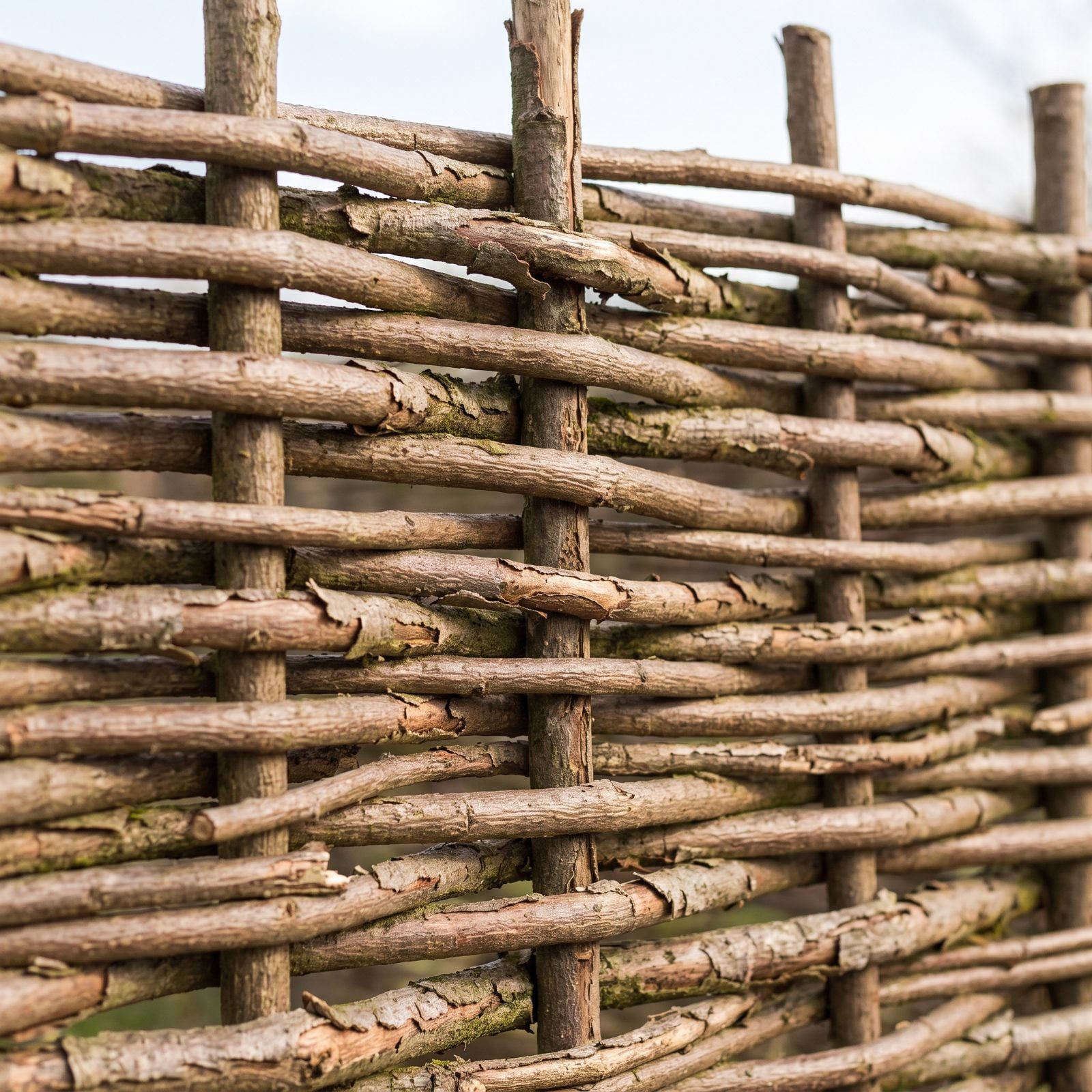 A Woven Hazel Hurdle Fence